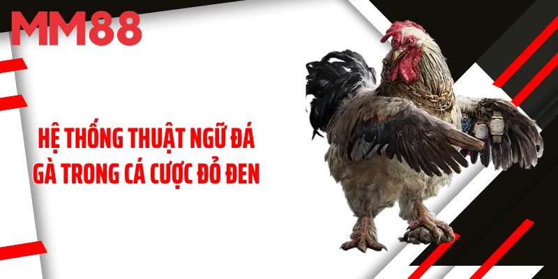 he-thong-thuat-ngu-da-ga-trong-ca-cuoc-do-den